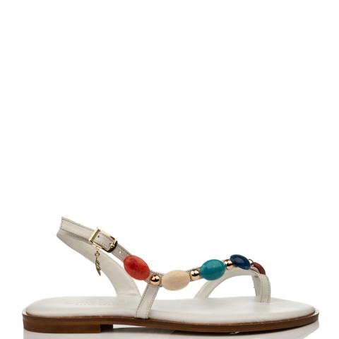 ROB-21400-33