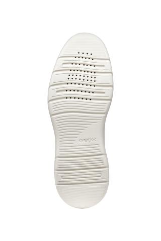 GEO-23234-10