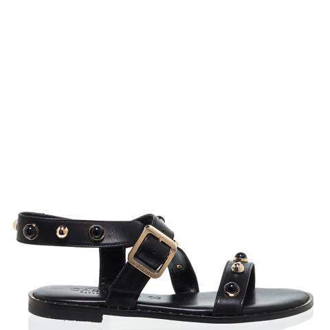 ROB-23309-34